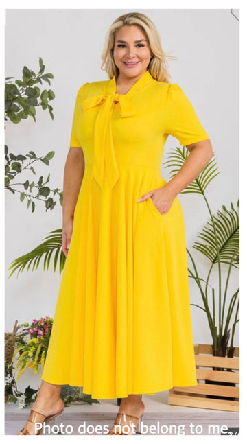 DESI MIDI DRESS